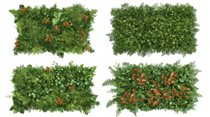 Vertical Garden Walls Collection With Assorted Greenery on Backdrop Generative AI