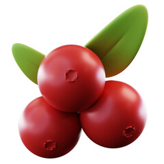  3D Illustration Cranberries