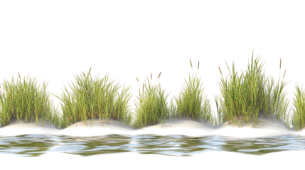Wave Designs of Sea Oats and Beach Grasses Generative AI