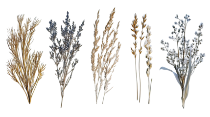 Beach Grasses Generative AI