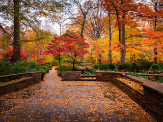 Naklejka premium autumn in the park