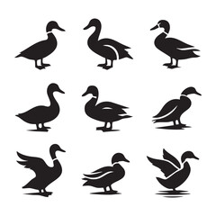 Fototapeta premium Set of duck silhouette
