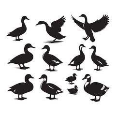 Set of duck silhouette