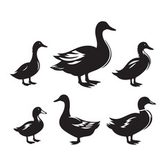 Obraz premium Set of duck silhouette
