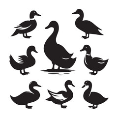 Fototapeta premium Set of duck silhouette