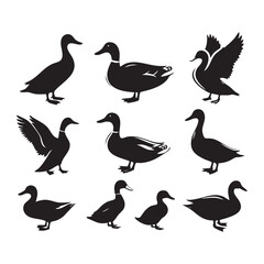 Obraz premium Set of duck silhouette