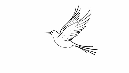 Fototapeta premium mountain landscape