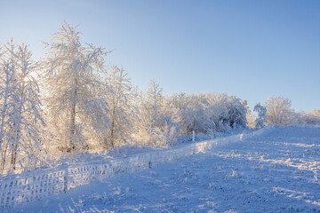 Frosty chain-link fence on a meadow a cold winter day