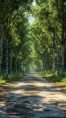 Fototapeta premium autumn in the forest