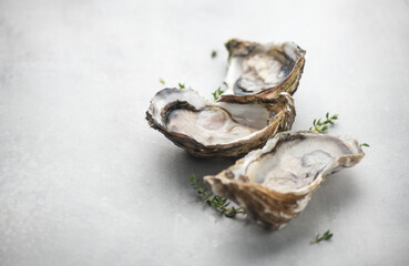 Oysters close up on ice, border design, open french oyster Fine de Claire, Healthy sea food. Oyster...