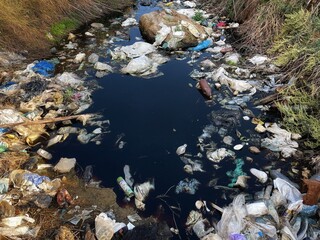 Water pollution. A lot of garbage on the shore. The river transports human waste