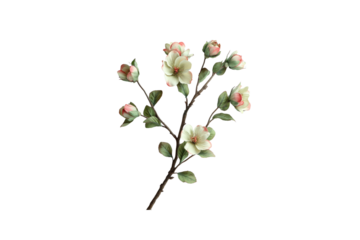 Delicate floral branch with pink and white blossoms, showcasing nature beauty and elegance. Perfect for spring themes and floral designs