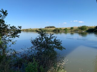江戸川流域の景色