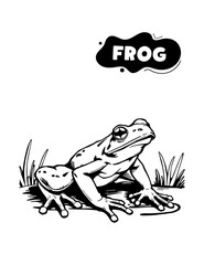 139 frog illustration model for coloring