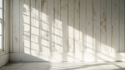 Obraz premium The Light and Shadow Play