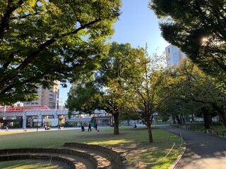 隅田川の河川敷の景色