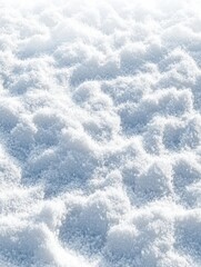 Obraz premium winter snow carpet isolated on transparent background with copy space for text