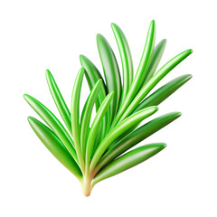 Rosemary 3d cartoon style illustration