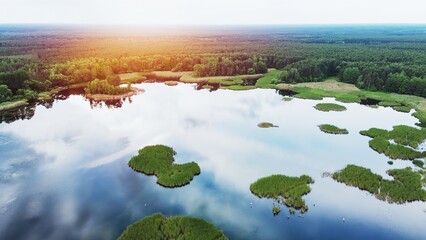 Scenic forest river landscape