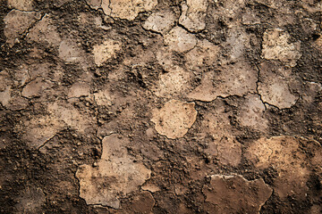 Texture brown soil abstract stone pattern surface ground dirt textured wall cork backgrounds material nature natural earth rough land agriculture wood close-up concrete macro board