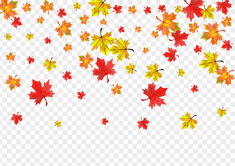 Golden Foliage Background Transparent Vector. Plant Celebrate Design. Ocher Forest Leaves. Beautiful Leaf Frame.