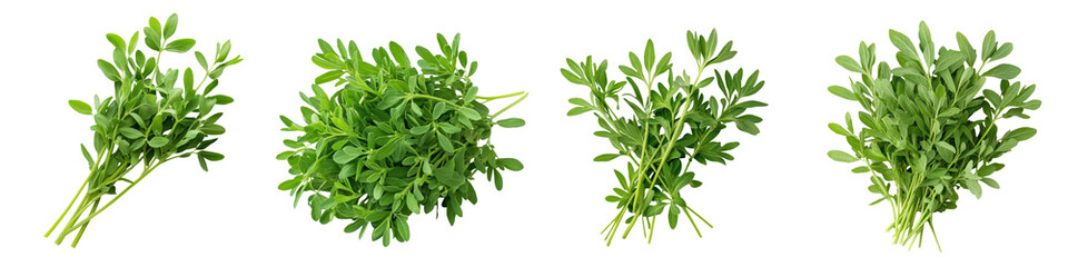 Assortment of Fresh Green Herbs and Leafy Greens Arranged on a Plain White Background  Healthy Organic and Nutritious Culinary Ingredients for Cooking Baking and Seasoning