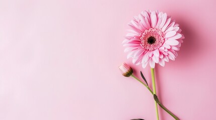 beautiful flower pink background,Enchanting Pink Floral Symphony