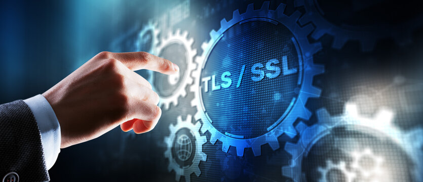 Transport Layer Security. Secure Socket Layer. TLS SSL. Mixed Media