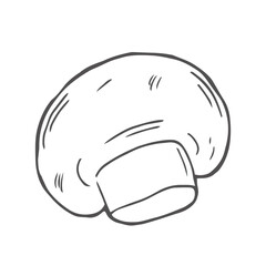 Champignons, mushroom set in hand-drawn, doodles style for kitchen, cooking blog, farmers grocery store, package, poster design online shop.