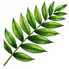 Obraz premium Vibrant Tropical Leaf Watercolor Illustration