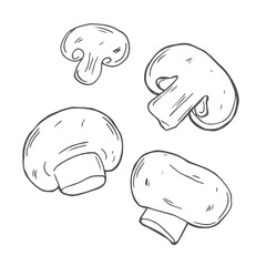 Champignons, mushroom set in hand-drawn, doodles style for kitchen, cooking blog, farmers grocery store, package, poster design online shop.