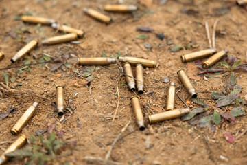 Empty carbine or rifle cartridges. A large number of cases. Background of brass ammunition cartridges to illustrate armed conflict