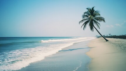 A lone palm tree sways on a white sandy beach with turquoise water and blue sky.