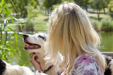Owner plays with a siberian laika dogs in autumn park. Friendship of a dog and a woman