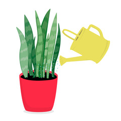 Plant care concept. Watering plants from a watering can. © Kateryna Zahrebelna