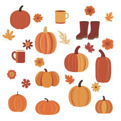 Vector collection of hand drawn pumpkins and autumn design elements set. Orange clip-art for Thanksgiving and Halloween fall design templates.