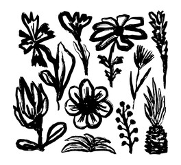 Hand drawn flower and leaf. Vector art. Doodle Ink floral and plant abstract illustration. Sketch nature simple daisy, flower, leaves, graphic elements