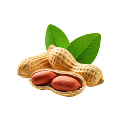 Fresh peanut with slice on transparent background