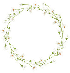 Handdrawn Watercolor Wreath of White Daisy Flowers