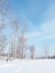 Snow-covered landscape with bare trees and a soft blue sky in the background, background, nature