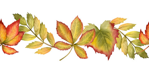 Watercolor fallen leaves of chestnut, rowan and maple in yellow, green and red colors seamless pattern isolated on white. Fall realistic horizontal background for cozy autumn botanical designs