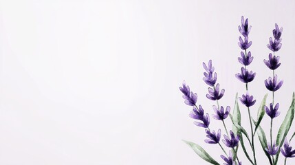 Obraz premium Gentle Watercolor Lavender Flowers Artwork