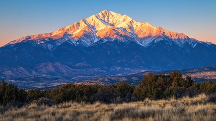Obraz premium A majestic snow-capped mountain peak bathed in the golden glow of the setting sun, with a foreground of brush and trees.