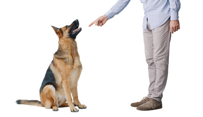 Pet owner scolding his dog