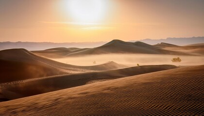 Morning light illuminating fog covering desert sand dunes