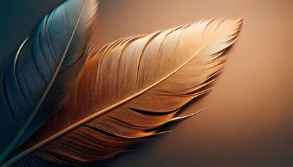 Close-up view of feathers Intricate patterns with natural tones.