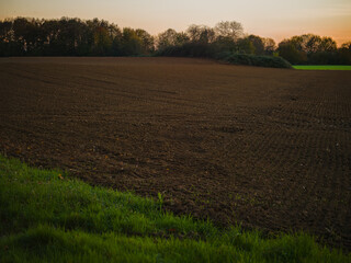 Evening mood over a harvested field.