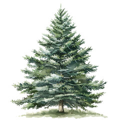 A watercolor vector of a Christmas tree, isolated on a white background.