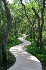Obraz premium A serene pathway curves through a verdant forest, flanked by tall trees and rich greenery, inviting tranquil exploration in daylight