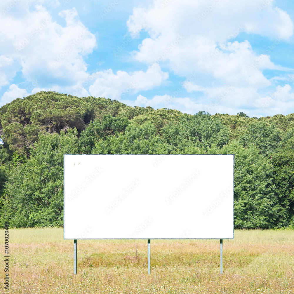 Wall mural blank advertising signboard in a field with trees on background - concept with copy space and space 